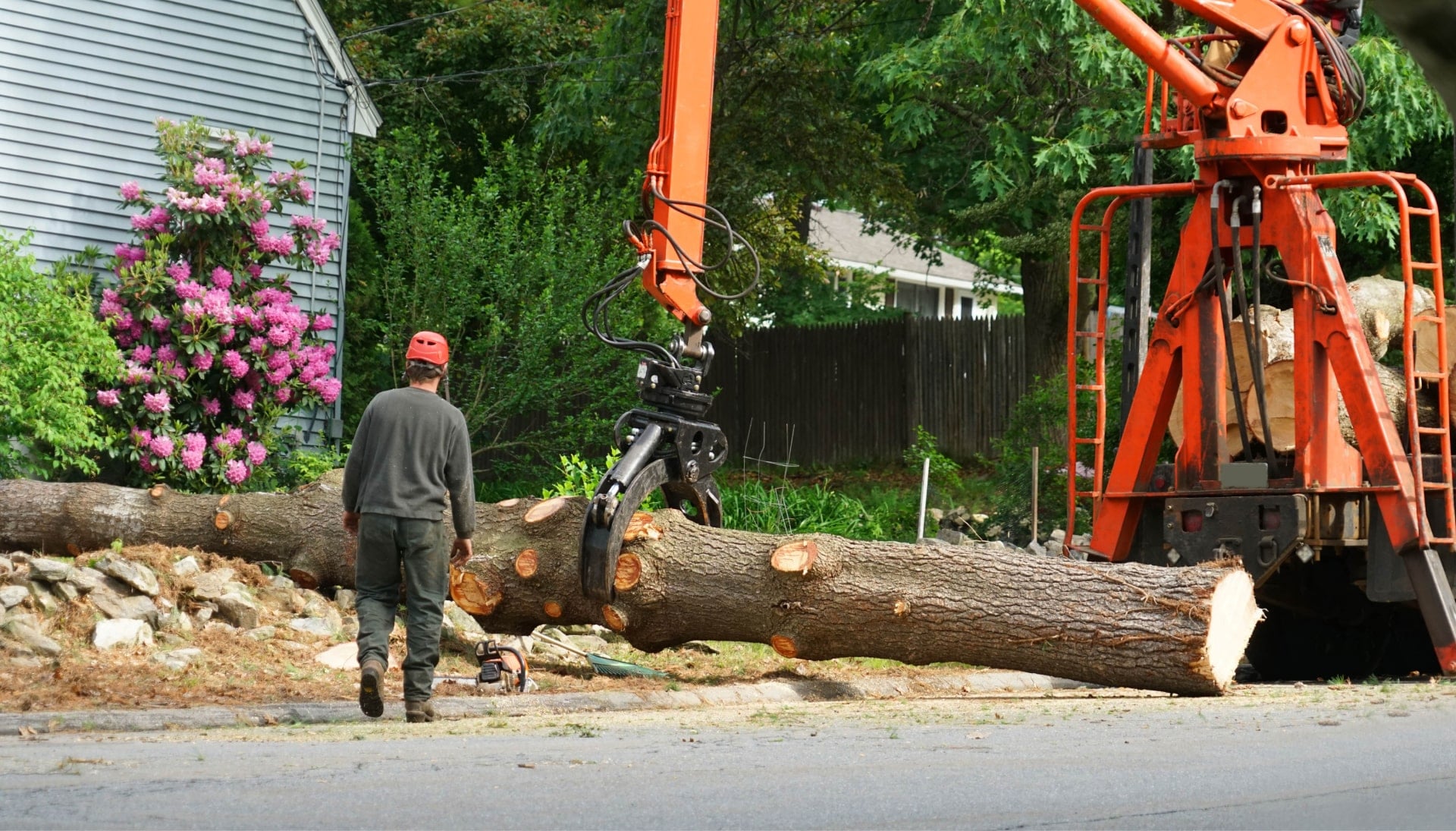 Local partner for Tree removal services in Fort Pierce