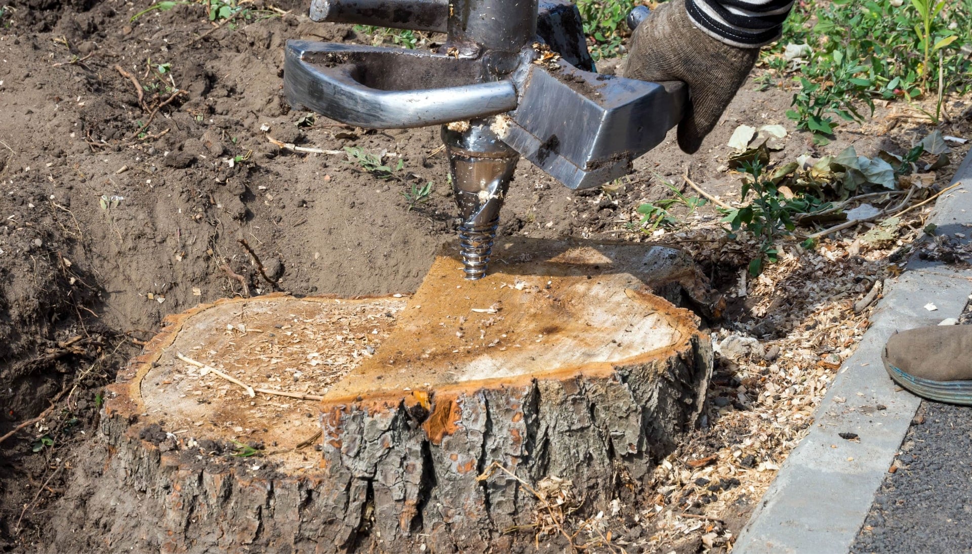 Fort Pierce Tree stump removal